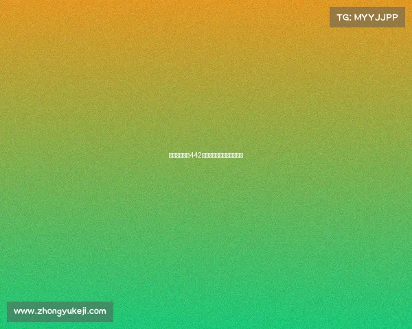 西甲球队经典442阵型解析及其战术运用探索