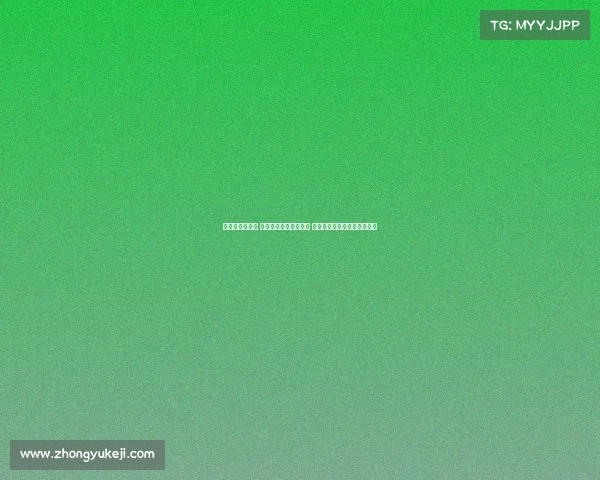 德甲新赛季揭幕 强强对决再掀热血争锋 球迷激情期待新一轮传奇开启